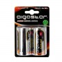 Batterie Aigostar Torcia 1.5V Confezione da 2 Pile Alcaline