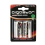 Batterie Aigostar C Mezzatorcia 1.5V Confezione da 2 Pile Alcaline