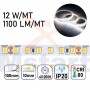 Striscia LED 60W 5m IP20 2835 24V 12W/m 120led/m Luce 6500K CRI 80