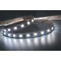 Striscia LED 24V 14W/Mt RGB+W 5MT 300 SMD 5050 Da Interno IP20