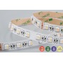 Striscia LED 24V 14W/Mt RGB+W 5MT 300 SMD 5050 Da Interno IP20