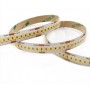 Striscia Led 16W/MT 24V PCB 10mm 1200 Led SMD 2835 IP65 4000K 5MT
