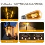 Lampadina LED Filamento ST64 8W E27 2200K Luce Calda