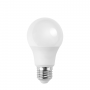 Lampadina LED A5 A60 17W E27 Luce Fredda 6400K 1720lm
