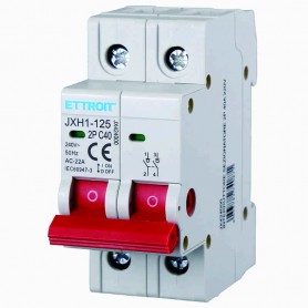 Ettroit Interruttore Sezionatore 2P 40A 220V JX424000