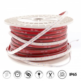 Striscia Led Prostrip 220V SMD 2835 12W/mt 4000K IP65 50MT