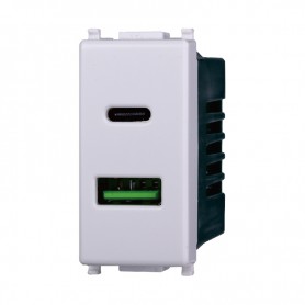 Presa Doppia USB 2 IN 1 Type-A + Type-C 5Vdc 3.1A Compatibile Vimar Plana Ettroit