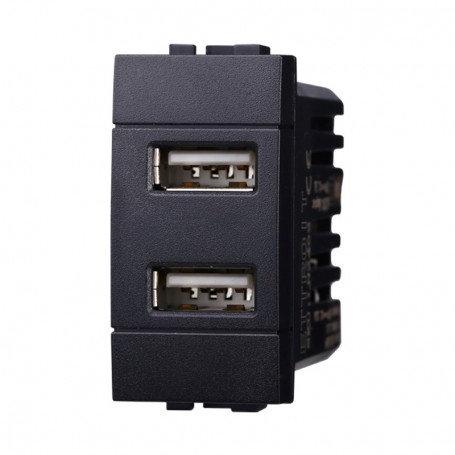 Presa USB 2 Posti 2.1 AMH Bticino Living Light LN2402