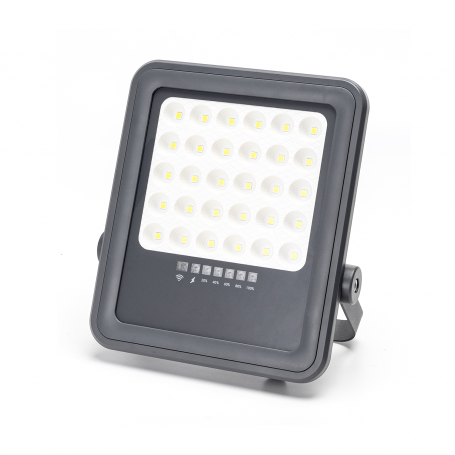 Faro Con Pannello Solare 100W 6500K 1000 Lumen IP65 SP05