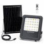 Faro Con Pannello Solare 100W 6500K 1000 Lumen IP65 SP05