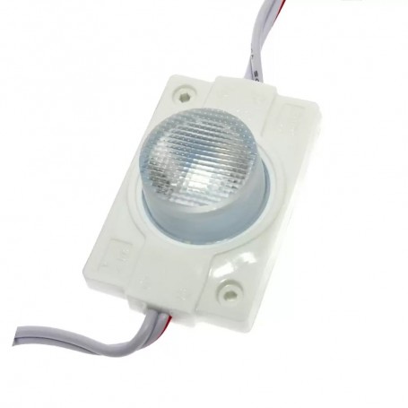 Moduli Led SMD 12V DC 2W 1 Led IP68 Catena 20pz Per Insegne Luce 6500K