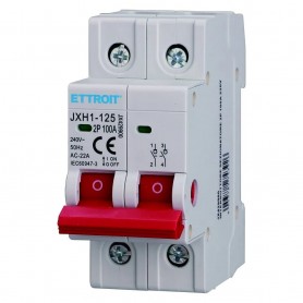 Ettroit Interruttore Sezionatore DIN 2P 100A 240V JX429900