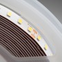 Striscia Led Arelux XRIBO 12W/MT 2835 128LED/MT 24V 120° IP20 CRI80 4000K