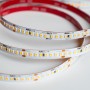 Striscia Led Arelux XRIBO 18W/MT 2835 192LED/MT 24V 120° IP20 CRI80 2700K