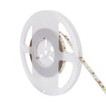 Striscia LED 60W IP20 2835 24V 12W/m 120led/m Luce 3000K CRI 80