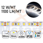 Striscia LED 60W 5m IP20 2835 24V 12W/m 120led/m Luce 6500K CRI 80