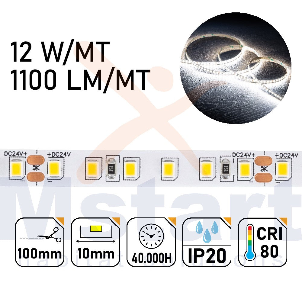 Striscia LED 60W 5m IP20 2835 24V 12W/m 120led/m Luce 6500K CRI 80