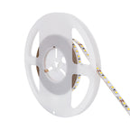 Striscia LED 60W 5m IP20 2835 24V 12W/m 120led/m Luce 6500K CRI 80