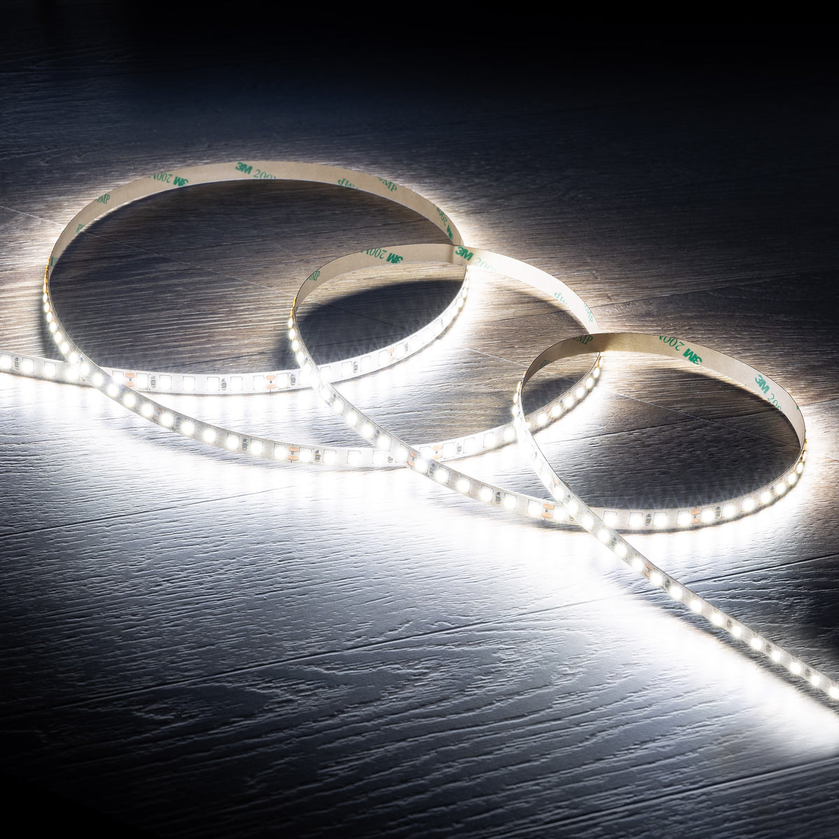 Striscia LED 60W 5m IP20 2835 24V 12W/m 120led/m Luce 6500K CRI 80