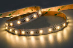 Striscia LED 24V 14W/Mt RGB+W 5MT 300 SMD 5050 Da Interno IP20