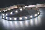 Striscia LED 24V 14W/Mt RGB+W 5MT 300 SMD 5050 Da Interno IP20