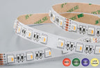 Striscia LED 24V 14W/Mt RGB+W 5MT 300 SMD 5050 Da Interno IP20