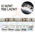 Striscia LED 5m IP65 SILICON 2835 24V - 12W/m 120led/m 6500K