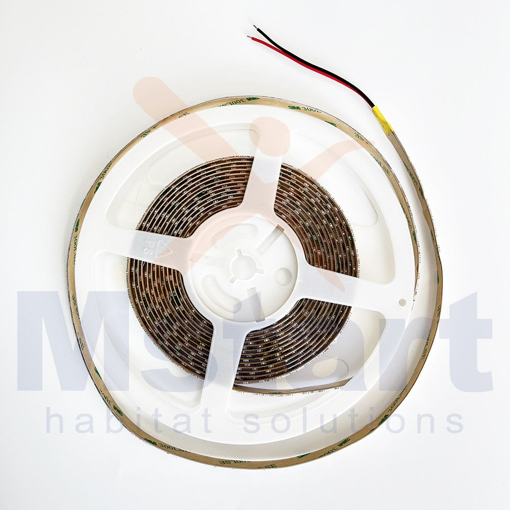 Striscia Led 12W/MT 24V PCB 10mm 600 Led SMD 2835 IP65 6500K 5MT