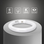 Circolina Fluorescente T9 G10Q per Plafoniera Rotonda 21cm 22W Bianco Freddo 6500K