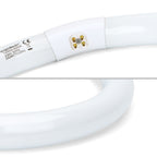 Circolina Fluorescente T9 G10Q per Plafoniera Rotonda 40cm 40W Bianco Freddo 6500K