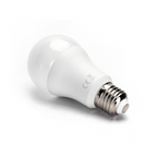 Lampadina LED A5 A67 20W E27 Luce Fredda 6400K 2100lm