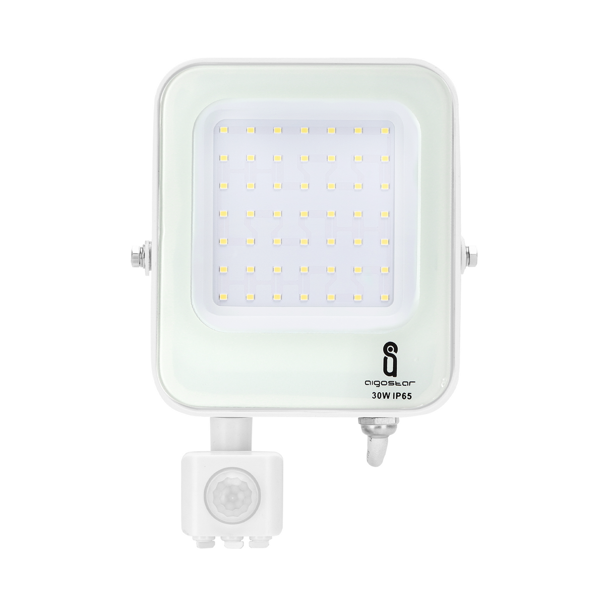 Faro Proiettore Led 30W Bianco IP65 6500K Con Sensore Crepuscolare Movimento