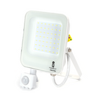 Faro Proiettore Led 30W Bianco IP65 6500K Con Sensore Crepuscolare Movimento