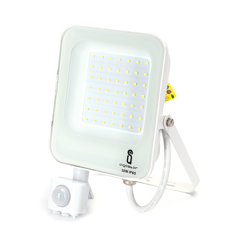 Faro Proiettore Led 30W Bianco IP65 6500K Con Sensore Crepuscolare Movimento