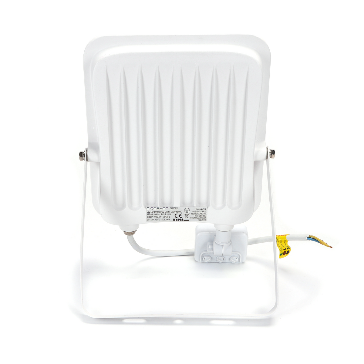 Faro Proiettore Led 100W Bianco IP65 6500K Con Sensore Crepuscolare Movimento