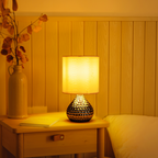 Aigostar Lampada da Tavolo Abat Jour in Ceramica E14 colore Silver