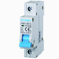 Ettroit Interruttore Magnetotermico 1P 32A 220V 6KA JX113260