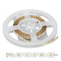 Striscia Led Zig Zag Curvabile 12W/MT IP20 SMD 2835 24V 6500K