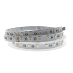 Striscia LED 24V 14W/MT RGB+W 5MT SMD 5050 60LED/MT Da Esterno IP65