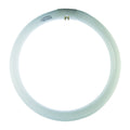 Circolina Fluorescente Airam T9 G10Q  32W Bianco Naturale 4200K
