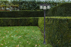 Lampione da Giardino CATE 3 Luci Ruggine Opaca E27 Max 3x40W IP44