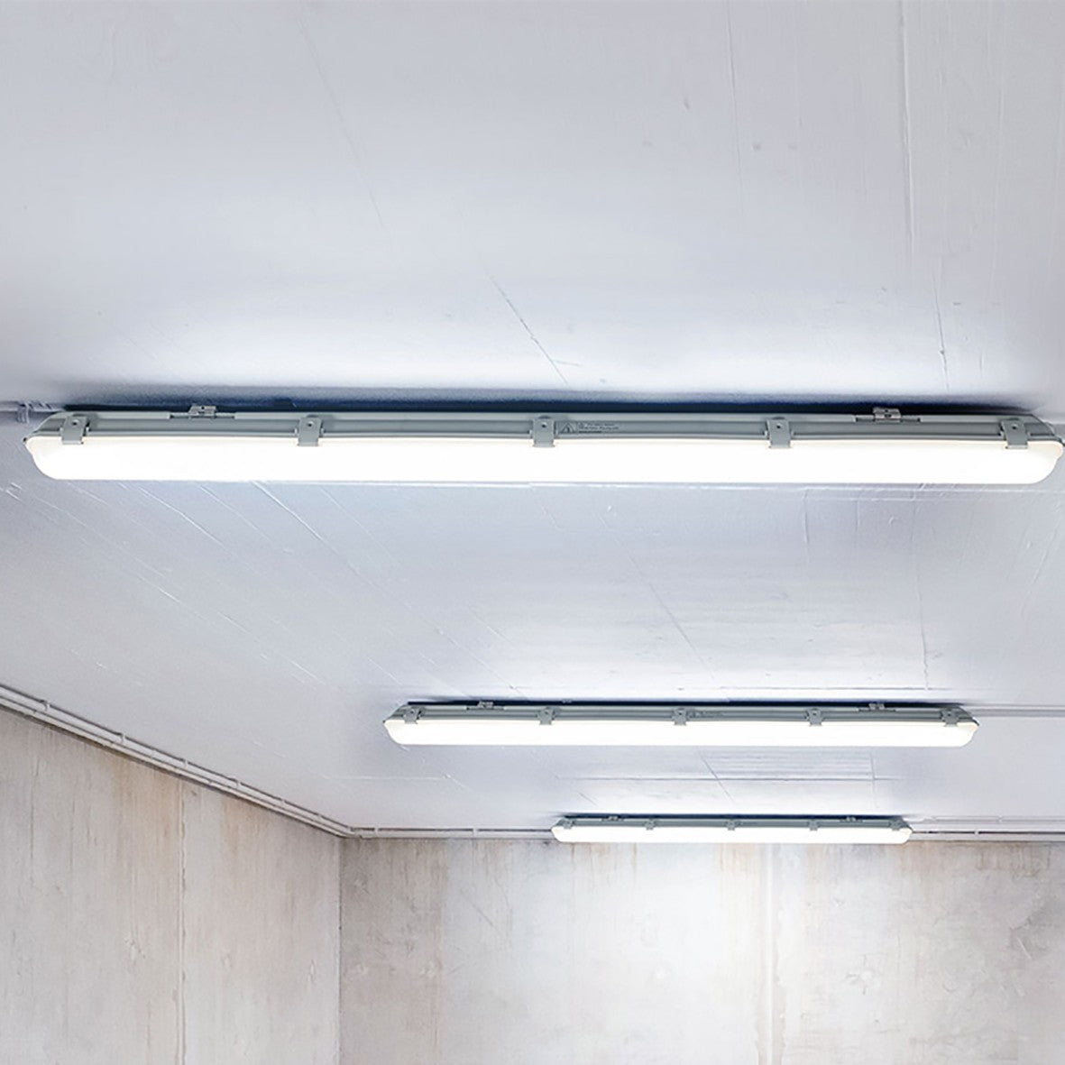 Pack 6 Pezzi Plafoniera Stagna a 2 posti per Tubi Led T8 da 1,5mt