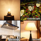 12 Pezzi Lampadina Alogena G4 10W 12V Luce Calda 2700K