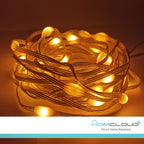 Corda in PVC di Luci Decorative Smart RGB-IC OUTDOOR Wi-Fi + Bluetooth 10M IP65
