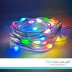 Corda in PVC di Luci Decorative Smart RGB-IC OUTDOOR Wi-Fi + Bluetooth 10M IP65