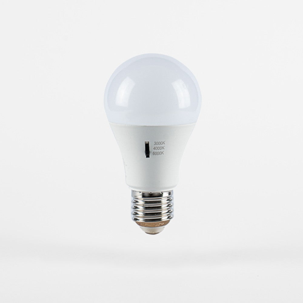 Lampadina Led A60 13W E27 A Bulbo CCT 3000/4000/6500K