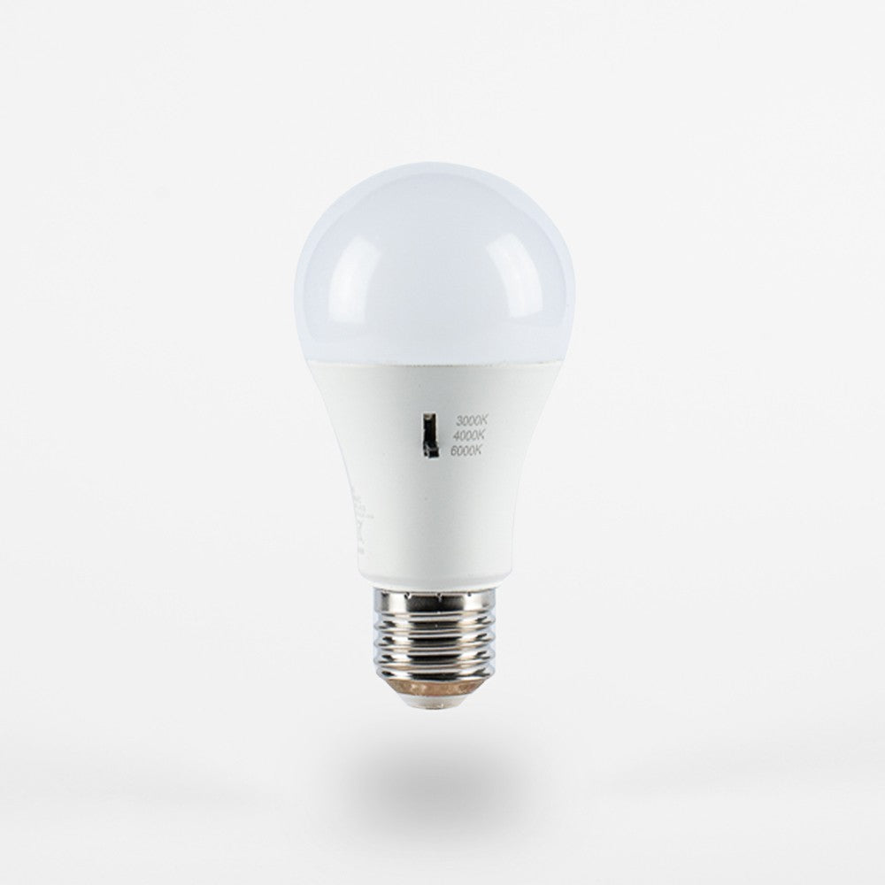 Lampadina Led A65 16W E27 A Bulbo CCT 3000/4000/6500K