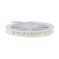 Striscia Led 24V 14W/MT SMD 5 Metri IP20 RGB+CCT CRI80