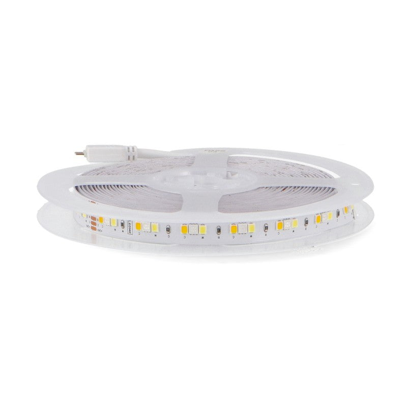Striscia Led 24V 14W/MT SMD 5 Metri IP20 RGB+CCT CRI80