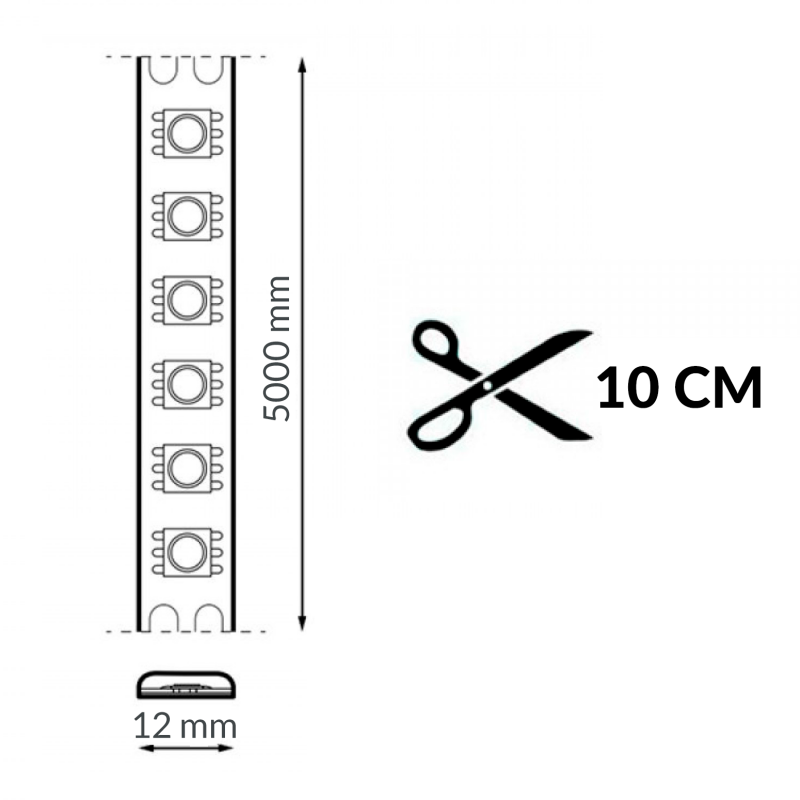 Striscia Led 24V 14W/MT SMD 5 Metri IP20 RGB+CCT CRI80